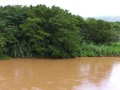 Pongola river