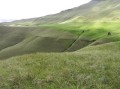 Mountain grasslands