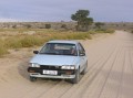 Kalahari drive