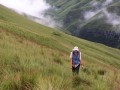 Grasslands