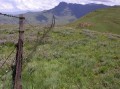Fences