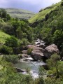 Along the stream 3