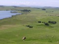 Drakensberg foothills