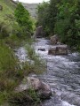 Stream bed