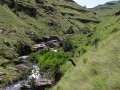 Stream