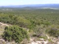 Addo Elephant Park 2
