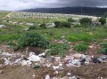 Grahamstown township 3