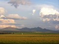Free State 2