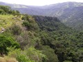 Cumberland NR