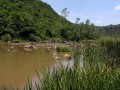Umgeni river