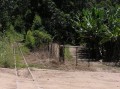 Banana express rails