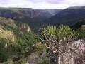 Oribi Gorge