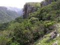 Escarpe forest 