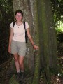 Inside the forest