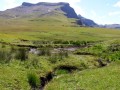 Below Thamathu pass 3