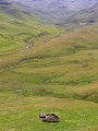 Below Thamathu pass