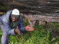 Bushmen's paintings 2