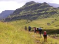 Hikers