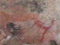 Bushmen's paintings 2