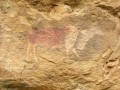 Bushmen's paintings 4