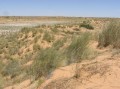 Dunes