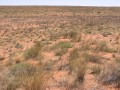Semidesert