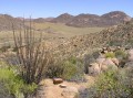 Goegap nature reserve 1