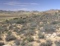Goegap nature reserve 3