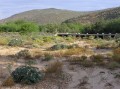 River bed