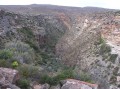 Bokkeveld nature reserve 2