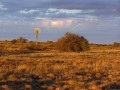 Wasteland