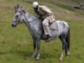 Galloping Paolo