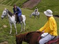 Horse Riders 3