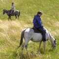 Horse Riders 4