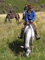 Horse Riders 6