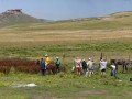 Horse riding