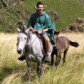 Mark on the Horse