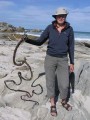 De Hoop