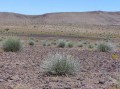 Road to Hobas camp