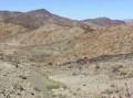 Semidesert 3