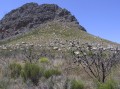 Pakhuis Pass