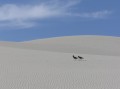 Dunes 2