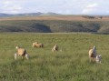 Overberg region 2