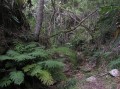 Kalanderkloof trail