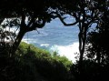 Otter trail 6