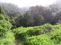 Otter trail 7