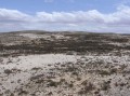 Knersvlakte 2