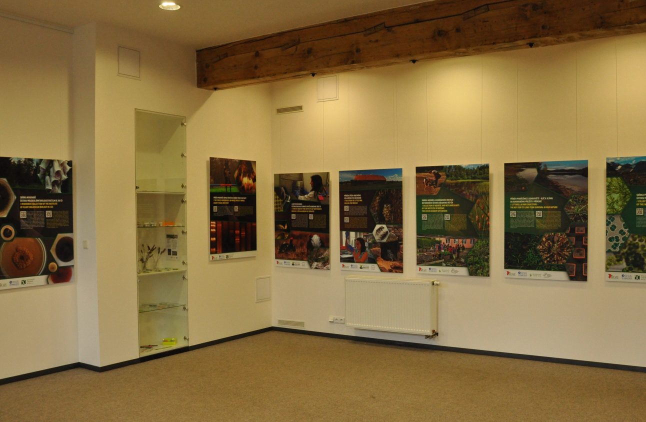 Ausstellung: Stories of the Biological Collections of the CAS in Průhonice Castle 2017 – 2018