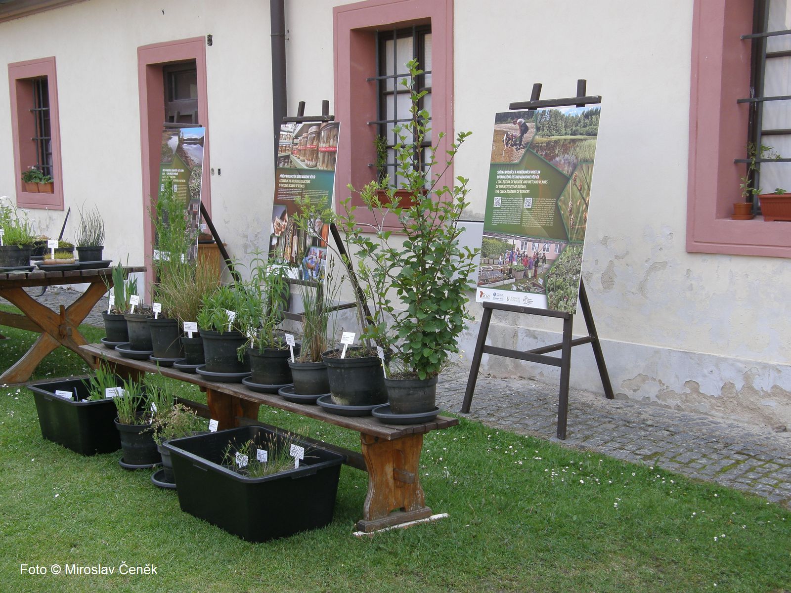 Botanická zahrada Třeboň se spolupodílí na Muzejní noci „Život u vody“ konané 25.5.2019 Národním zemědělským muzeem v zámku Ohrada Botanická zahrada Třeboň se spolupodílí na Muzejní noci „Život u vody“ konané 25.5.2019 Národním zemědělským muzeem v zámku Ohrada