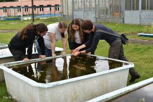 Botanická zahrada Třeboň